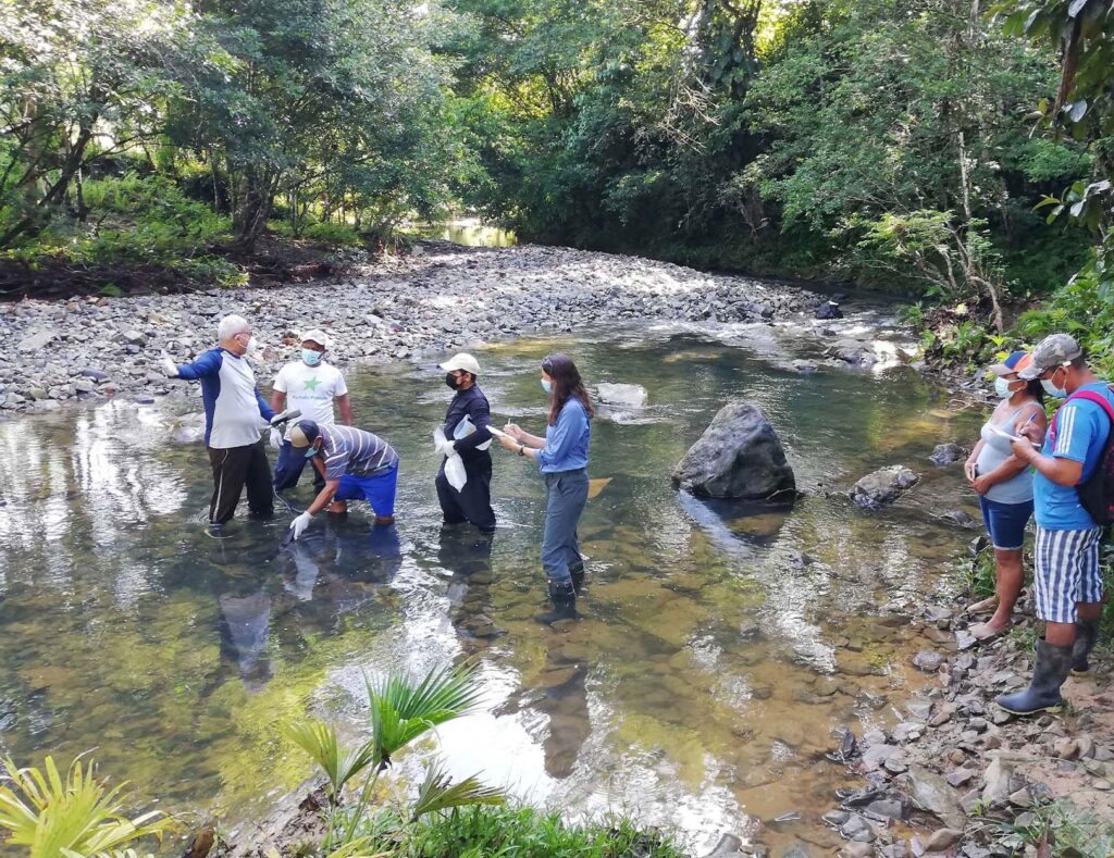 monitoreo del impacto en el agua de la mienria de cobre en panama yucca schidigera yucca universal | Yucca Universal