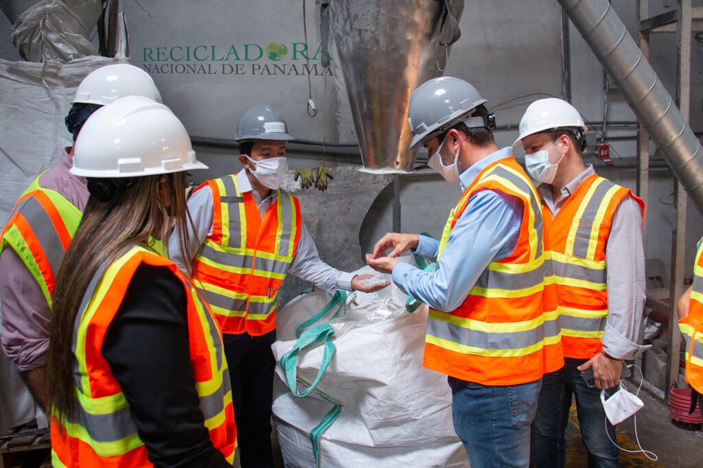 planta recicladora de panama yucca universal yucca schidigera | Yucca Universal