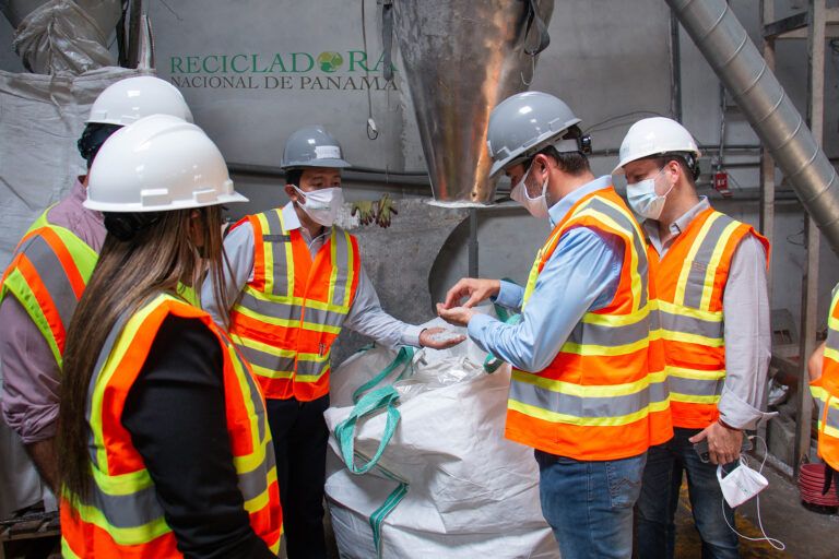 planta recicladora de panama yucca universal yucca schidigera | Yucca Universal