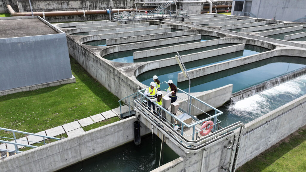 Cómo el extracto de yucca schidigera puede apoyar el proyecto de saneamiento de la Bahía de Panamá 2 | Yucca Universal tratameinto de aguas industriales yucca shidigera bajia de panama | Yucca Universal