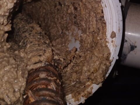 Uso de yucca schidigera en el tratamiento de sistemas de aguas servidas en edificios residenciales 3 | Yucca Universal Colapso de tuberia sanitaria por acumulacion y solidificacion extrema de lodos organicos edited | Yucca Universal