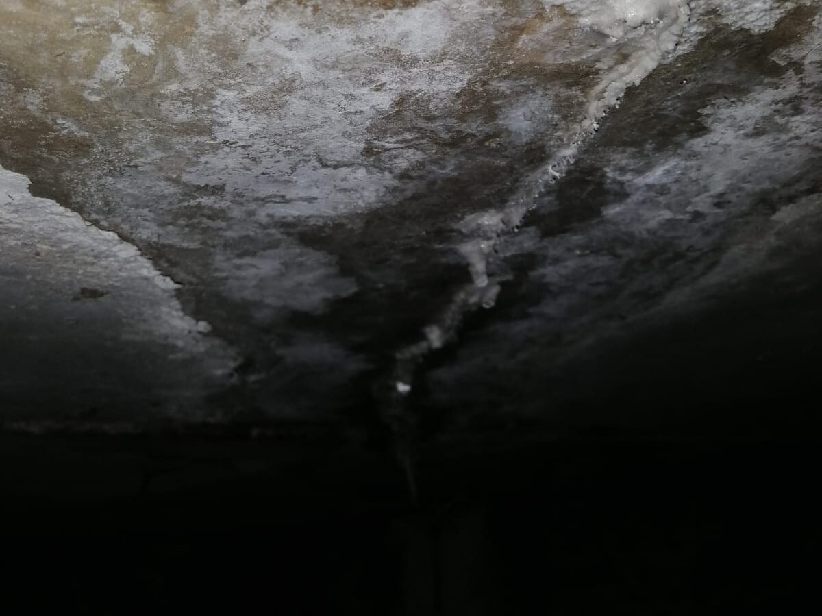 Uso de yucca schidigera en el tratamiento de sistemas de aguas servidas en edificios residenciales 4 | Yucca Universal Degradacion del concreto estructural por humedad y gases generados en sistemas de aguas servidas edited | Yucca Universal