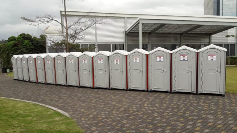 Alquiler de baños portátiles en Panamá: cómo eliminar los malos olores y elevar el estándar sanitario con extractos de yucca schidigera 2 | Yucca Universal alquiler de banos portatiles en panama yucca universal | Yucca Universal