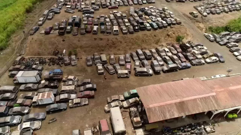 Plantas de desguace en Panamá: cómo los extractos de yucca schidigera de Yucca Universal transforman un problema ambiental en una solución sostenible 4 | Yucca Universal patios de desguace en panama | Yucca Universal