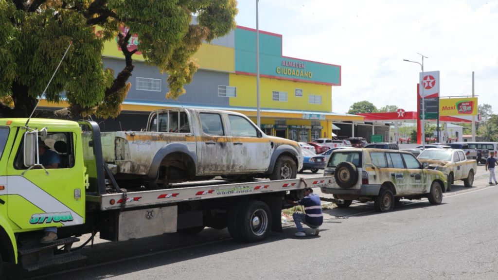 patios de desguace en panama yucca schidigera yucca universal panama | Yucca Universal